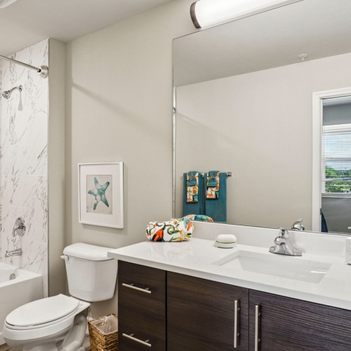 Guest Bathroom